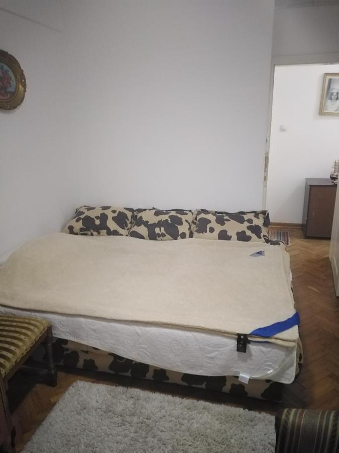 Kraljevski Apartman Kraljevo Bagian luar foto